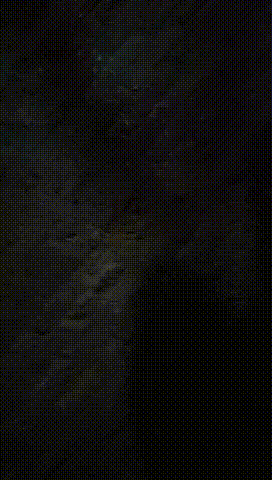 2 00_00_00-00_00_30~1.gif
