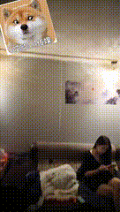1 00_00_00-00_00_30.gif